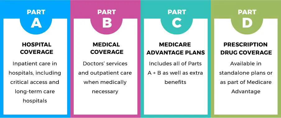 4 Types of Medicare Plans (Part A, B, C, D) at Medicare Guru