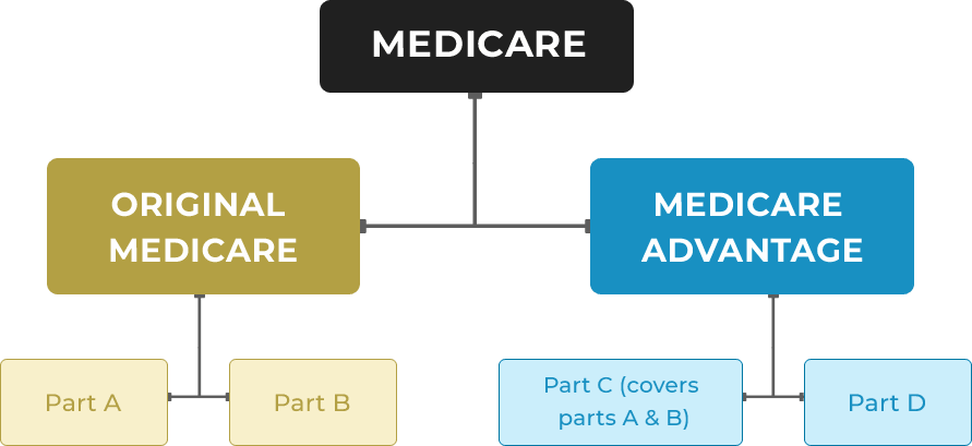 Medicare for Dummies: Things You Need to Know