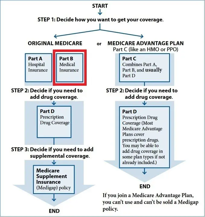 Medicare Part B: Medical Insurance
