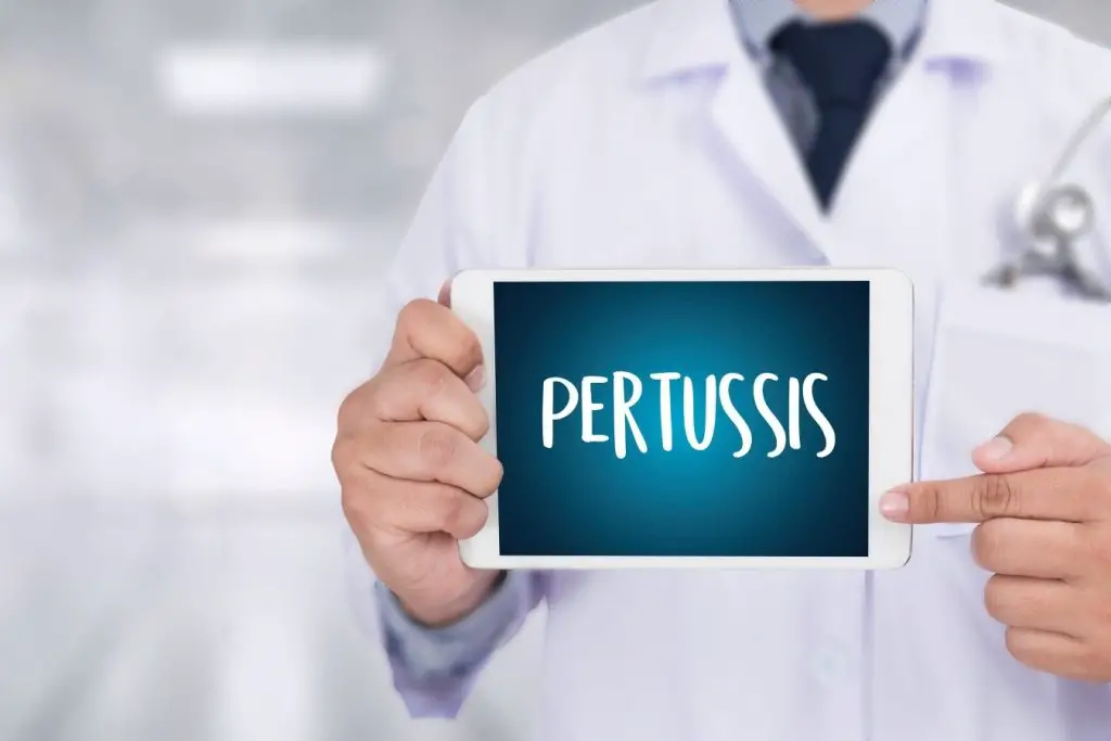 Pertussis Booster