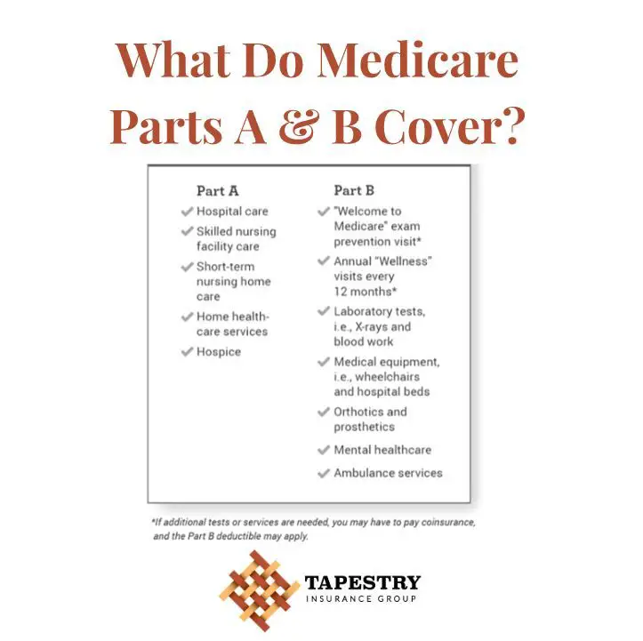What Do Medicare Parts A &  B typically cover? This infographic might ...